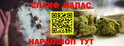 apvp Обь