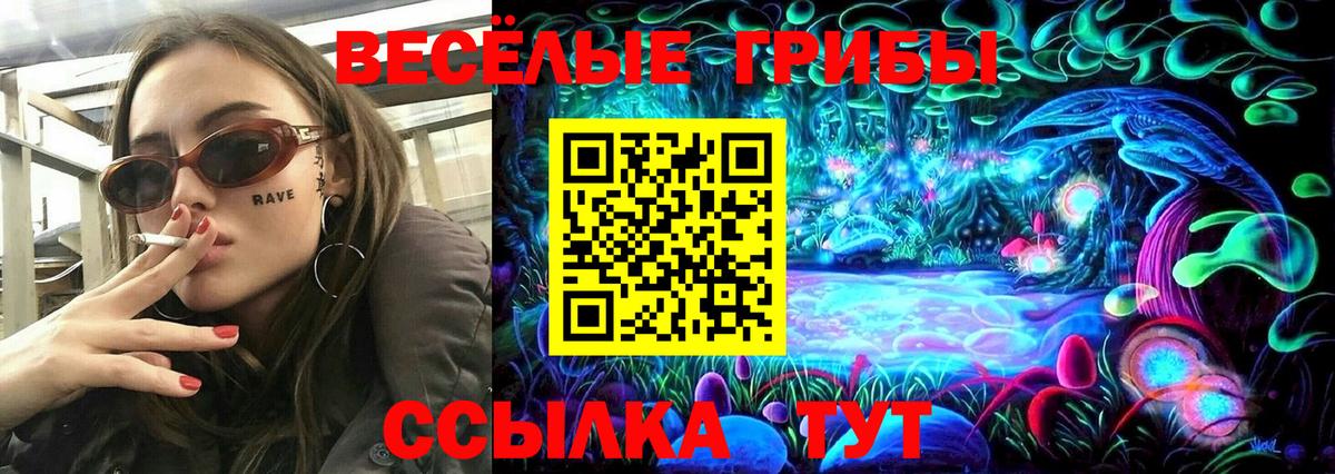 Псилоцибиновые грибы ЛСД  Вход с VPN  Сосновоборск  закладка  Псилоцибиновые грибы Psilocybine cubensis 